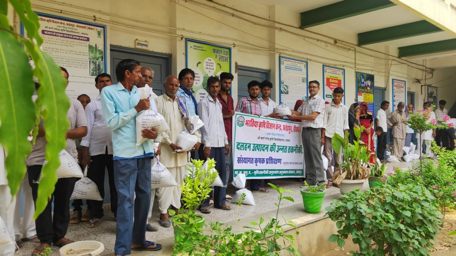Improved cultivation technique of Pulses